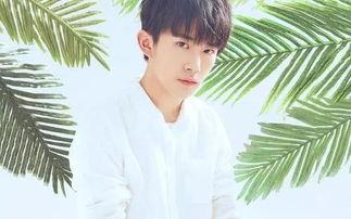 娱乐吃瓜君毕雯珺,娱乐吃瓜界的风云人物